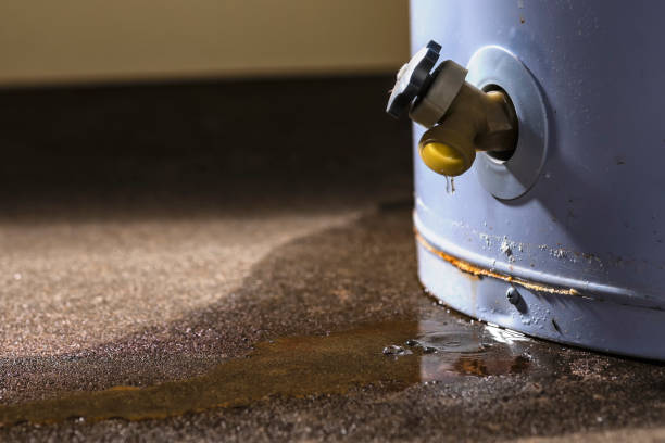 Best 24/7 water damage repair  in Peshtigo, WI