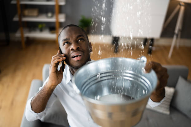 Best Ceiling water damage repair  in Peshtigo, WI