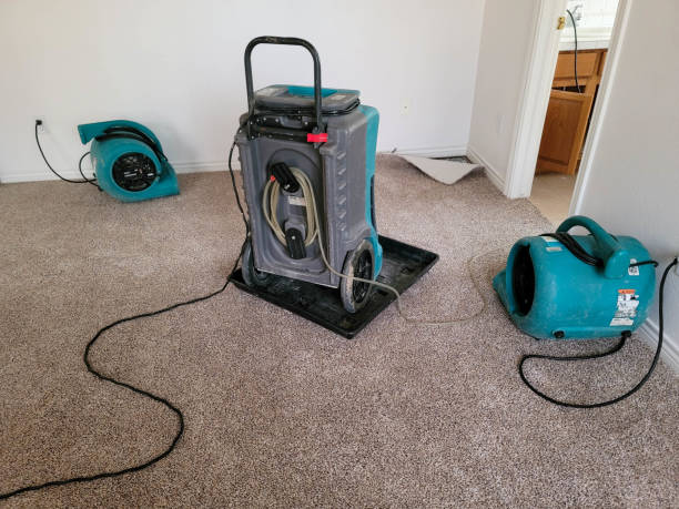 Best Flooded house restoration  in Peshtigo, WI