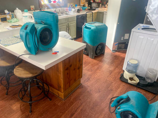 Best Commercial water damage restoration  in Peshtigo, WI