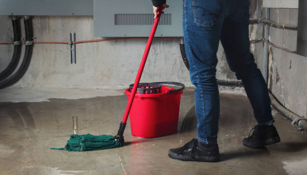  Peshtigo, WI Water damage restoration Pros