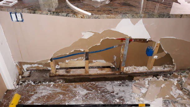 Best Flooded house restoration  in Peshtigo, WI