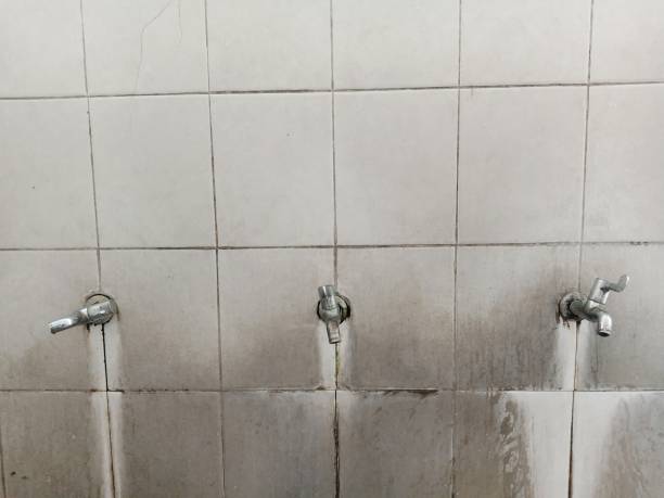 Best Fire Damage Restoration  in Peshtigo, WI