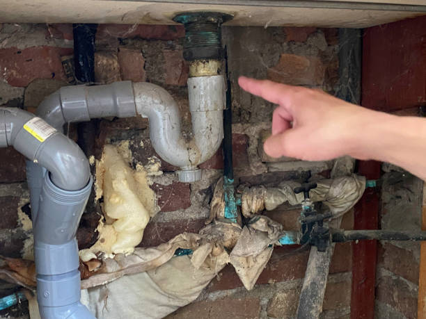 Best Basement water damage restoration  in Peshtigo, WI