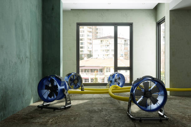 Water damage restoration process in WI